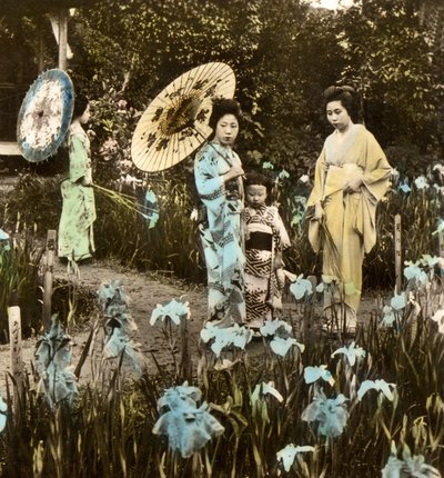 A Walk in the Iris Garden by Japanese Photographer
